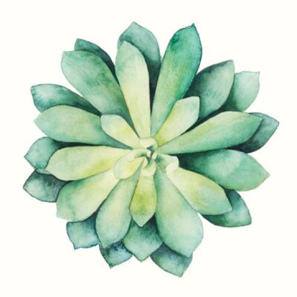 Meet your Posher, Daniella